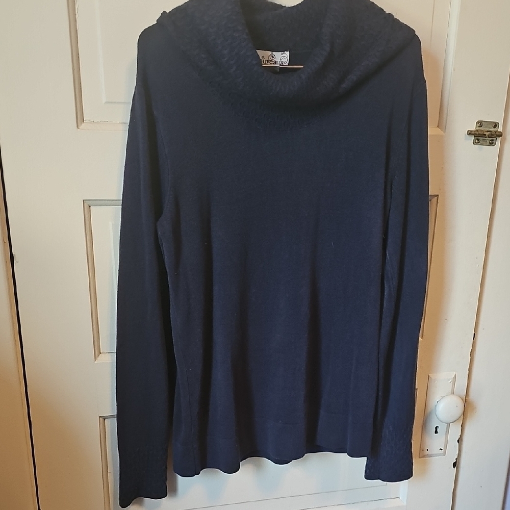 Cozy Blue Cowl Neck Sweater with Long Sleeves
